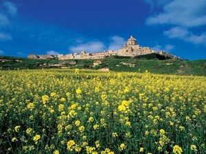 landschap 52  Malta (Medium)