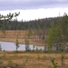landschap 72 Finland (Medium)