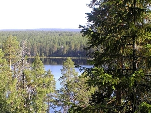 landschap 75  Finland (Medium)