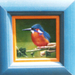 Ijsvogel  14x14 2003