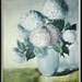 Hortensia.s 50x60 1990-1