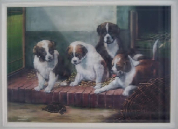 sint bernhard pups 50x70