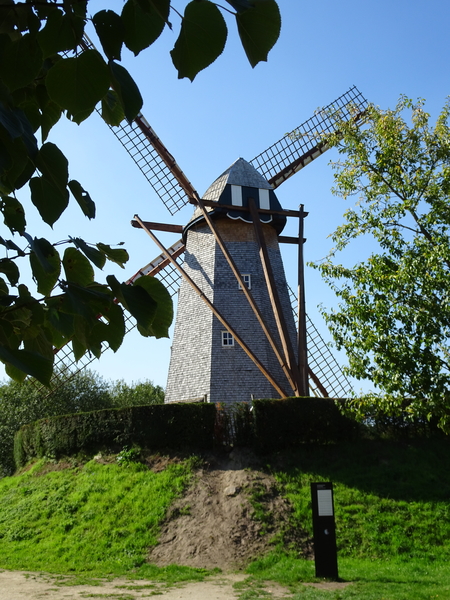 DSC00864