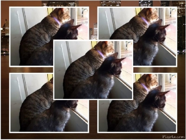 Als je VERTROUWEN in een vriendschap verbreekt, valt er niets mee