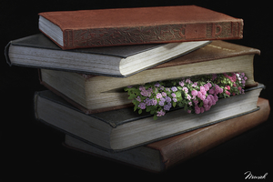 Bloemen tussen de boeken