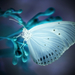 gloeiende vlinder tanabee 2020
