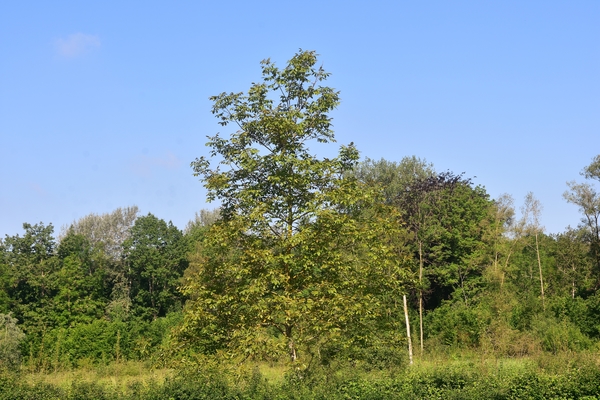 DSC_1256