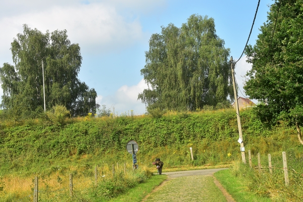 DSC_1478