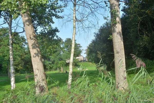DSC_1903