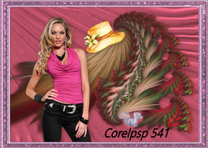 corel  541 timy