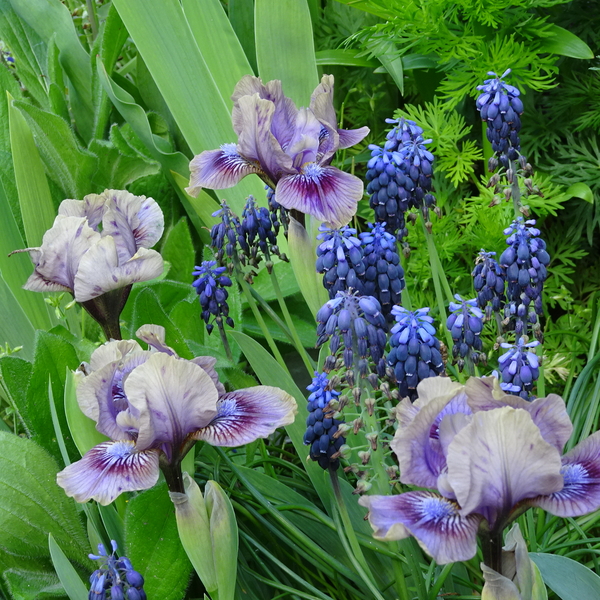 DSC09920