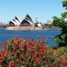 steden 45  Sydney - Australië (Medium) (Small)