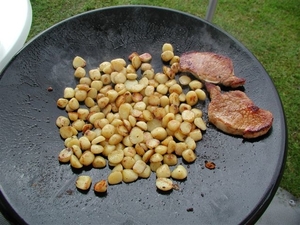 P5290031