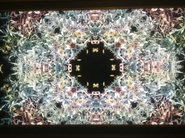 EA31BAD4-2E34-4E6E-81E2-7F5C0D1CB310