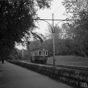 Nieuwe Scheveningse Bosjes 21 juni 1955 de A 505 van de T dienst 