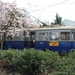 Museumtram 533 + 987 GVB Haarlemmermeerstation