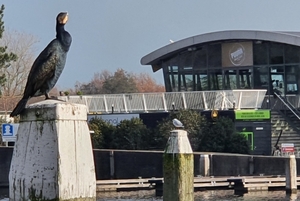 Dat weet die Aasgolver ook dat het bij PUUR puur genieten is.Leid