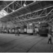 Historische trams in de tramremise Delfshaven, 1972.