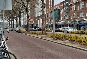 Rotterdam Beijerlandselaan Koninginnedag, 30 april 1955.