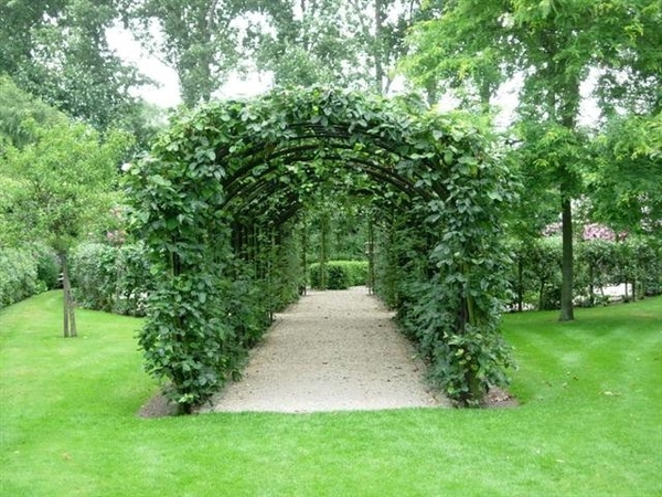 DSCN5105 (Medium) (Small)