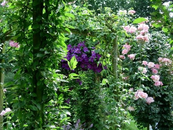 DSCN5123 (Medium) (Small)