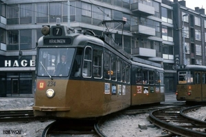 234 24 februari 1982