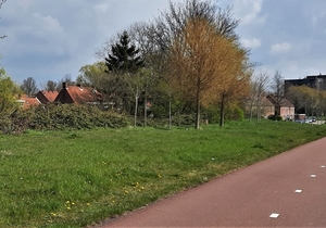 Hoogvliet Poortugaal op 11 oktober 1954