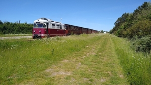 MD 1805 Meeuw op de Brouwersdam.