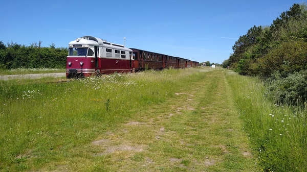 MD 1805 Meeuw op de Brouwersdam.