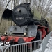 50  3707-2 (2021-02-17) Natuurpark Schöneberger zuid terrein in 