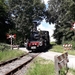 Op de foto rijdt stoomlocomotief Bello met een conditierit bij de