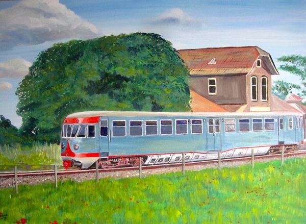 1277449_646599322059801_1782205404_o