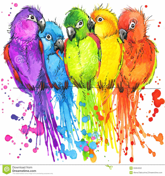 funny-colorful-parrots-watercolor-splash-textured-background-fash