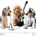 three-dogs-musicians-three-dogs-musicians-watercolor-painting-111