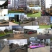 RET Trams
