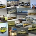 Trammini's