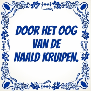 door-het-oog-van-de-naald-kruipen-tegel_original_1