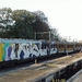 BrandRgs-007