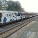 BrandRgs-014