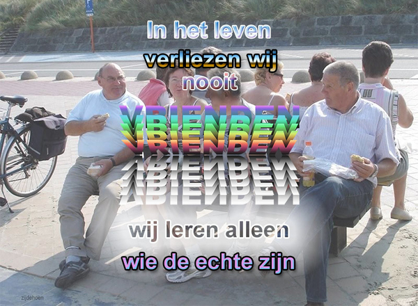 Zijdehoen