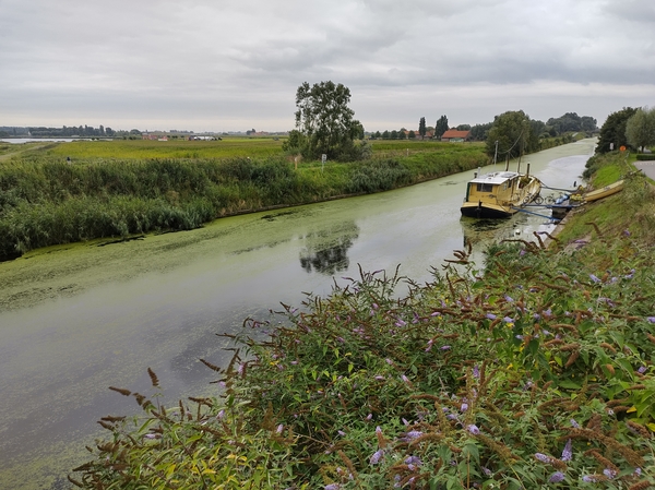 vierdaagse ijzer wandelen