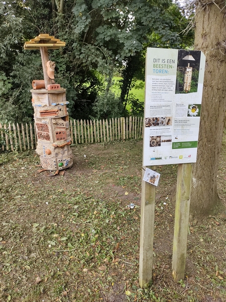 vierdaagse ijzer wandelen