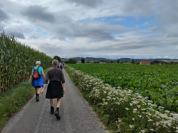 vierdaagse ijzer wandelen