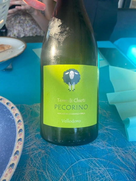 41) Fles Pecorino wijn