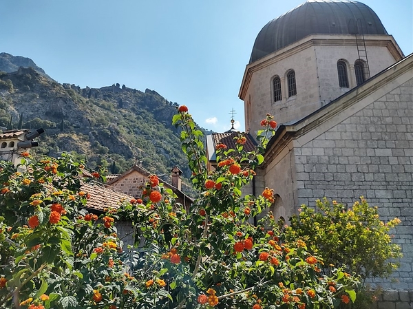 intersoc montenegro cultuur reisduiveltje