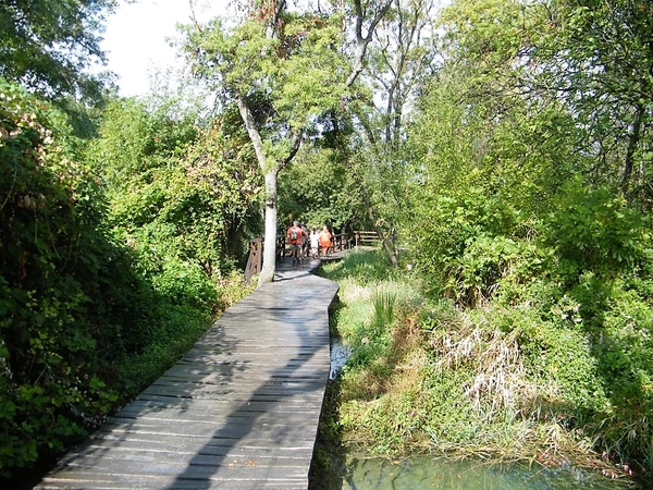 intersoc kroati cultuur reisduiveltje