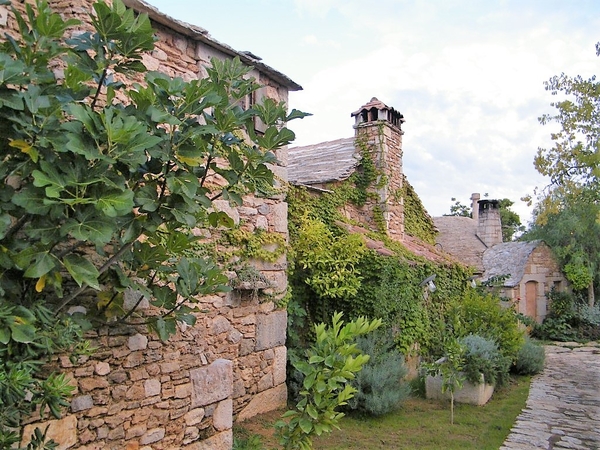 intersoc kroati cultuur reisduiveltje