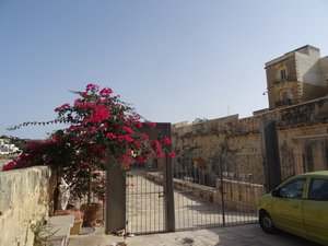 1 Vittoriosa _DSC00019