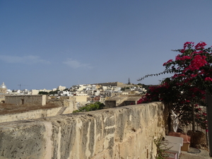 1 Vittoriosa _DSC00020