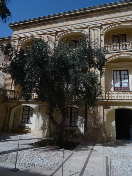 3E Mdina _DSC00229